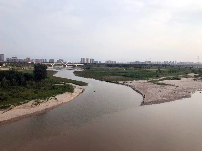 泾渭交汇之处（于楚众摄）