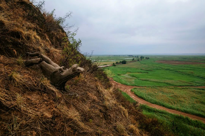 雷首山的龙首悬在黄河滩旁，曾经龙首之下便是黄河（蔡小川摄）