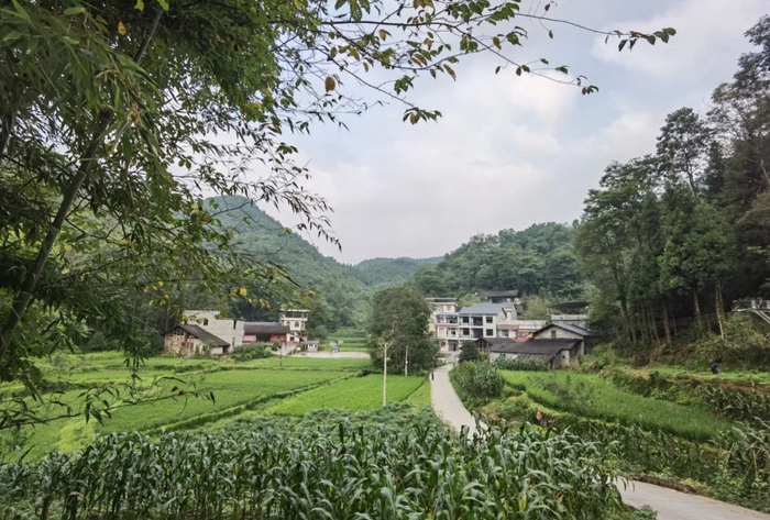 ▲湖北宣恩高罗大坪倒罗湾