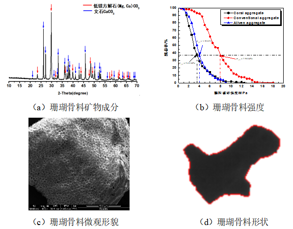 图3 珊瑚骨料物理力学特性
