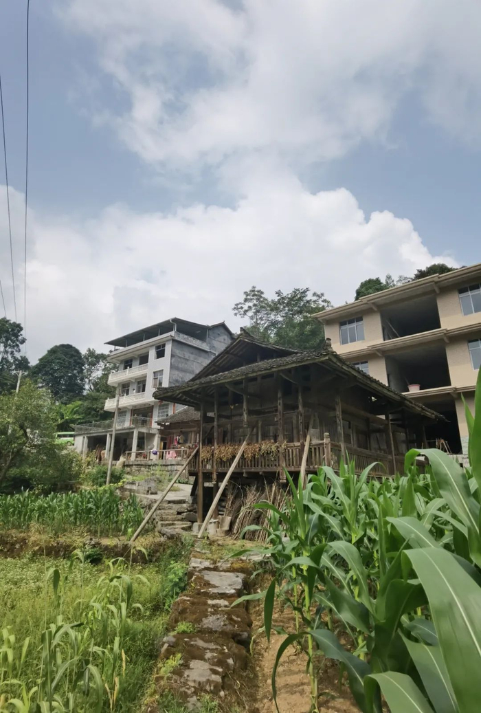 ▲湖北宣恩高罗堰洞坪