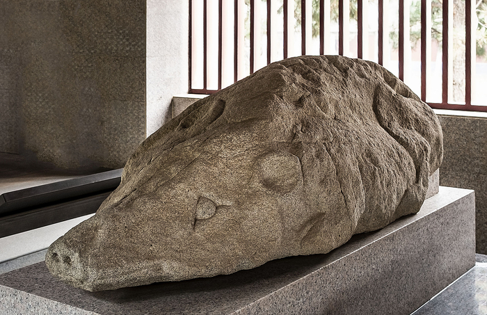 野猪与人相伴的历史长达千年，图为陕西茂陵博物馆的野猪藏品