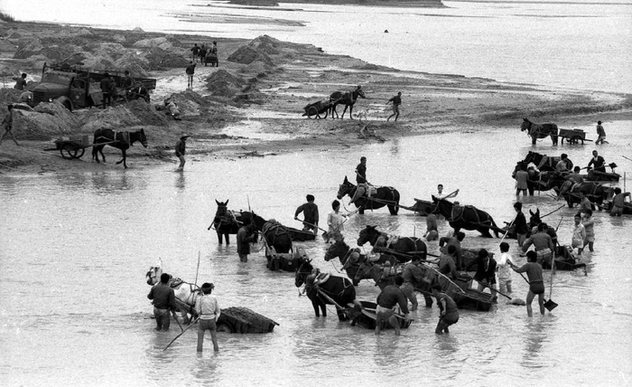 　　1990年岐山县高店镇渭河滩捞砂。白涛摄