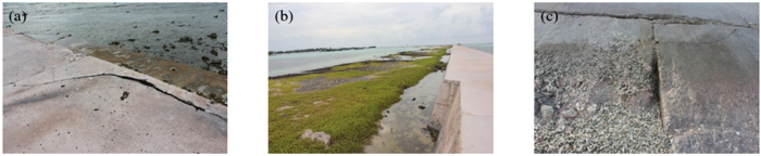 图5 现场调研图片