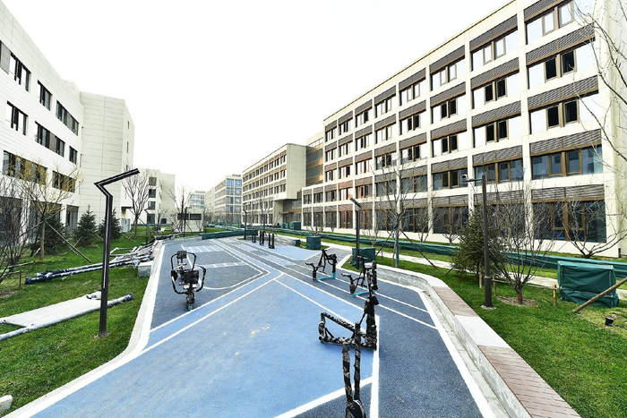 （通州区漷县镇政府发布）（郭丽君）（唐建/摄）