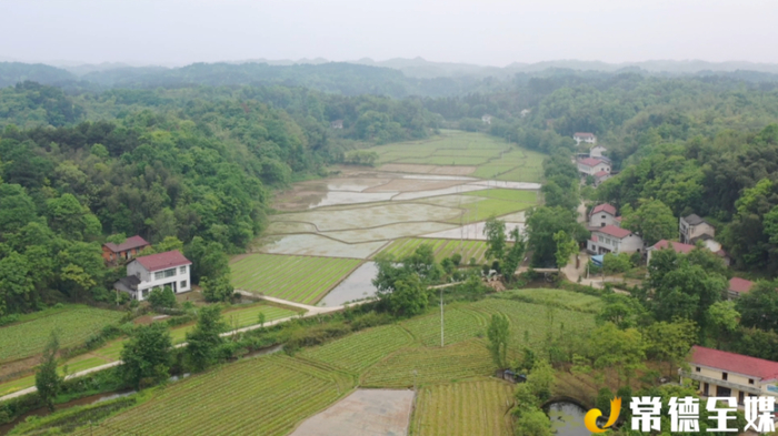 ▲桃源县三阳港镇