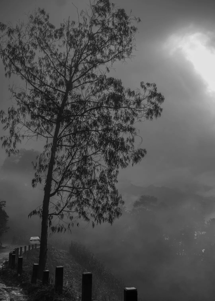 连接者东镇和村子的盘山公路，早上或下雨天，山间经常飘起雾（金海 摄）