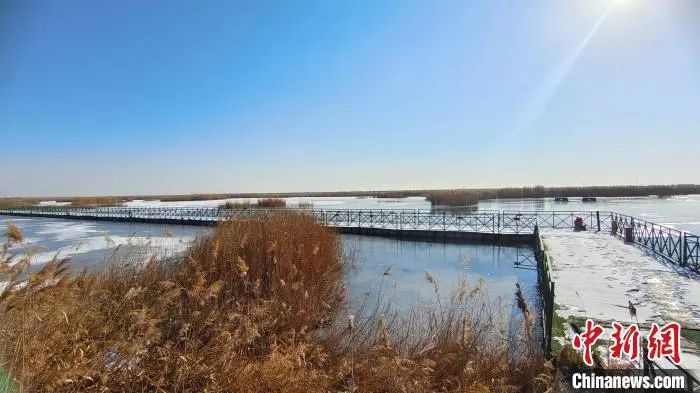 图为冬日的南海子湿地 张林虎 摄