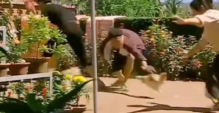 《乡村爱情》剧照