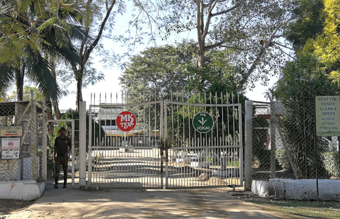 ●种植园紧锁的铁门。