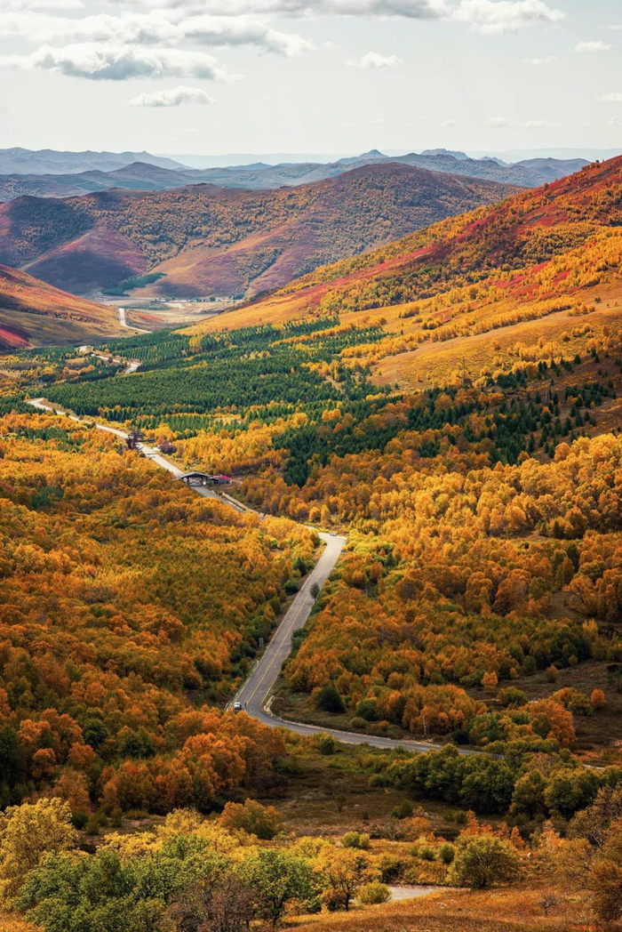 黄岗梁国家森林公园。
