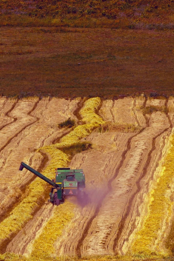 大兴安岭孕育肥沃的黑土地。