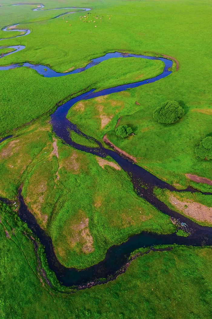 蜿蜒于阿尔山地区的曲流河。