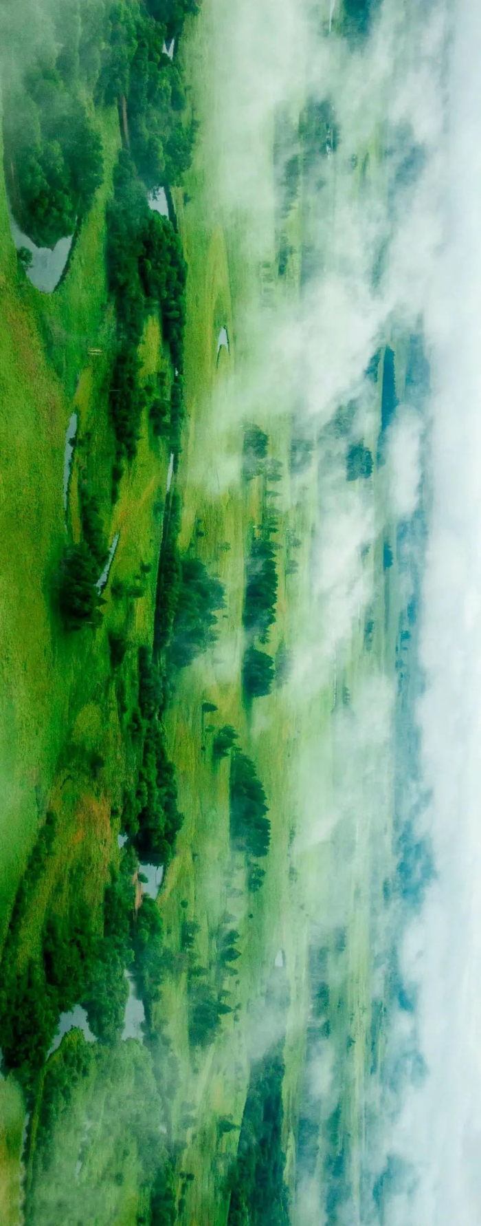 南瓮河国家级自然保护区保存了完整的原始森林湿地生态系统。