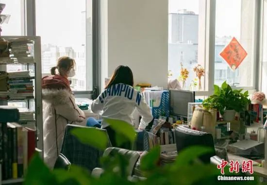 资料图：一家企业的员工在工作。中新社记者 侯宇 摄　