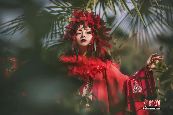 《山海经》鸰䳩。受访者供图