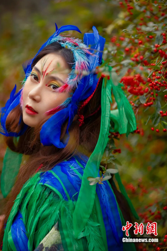 《山海经》青鸟。受访者供图