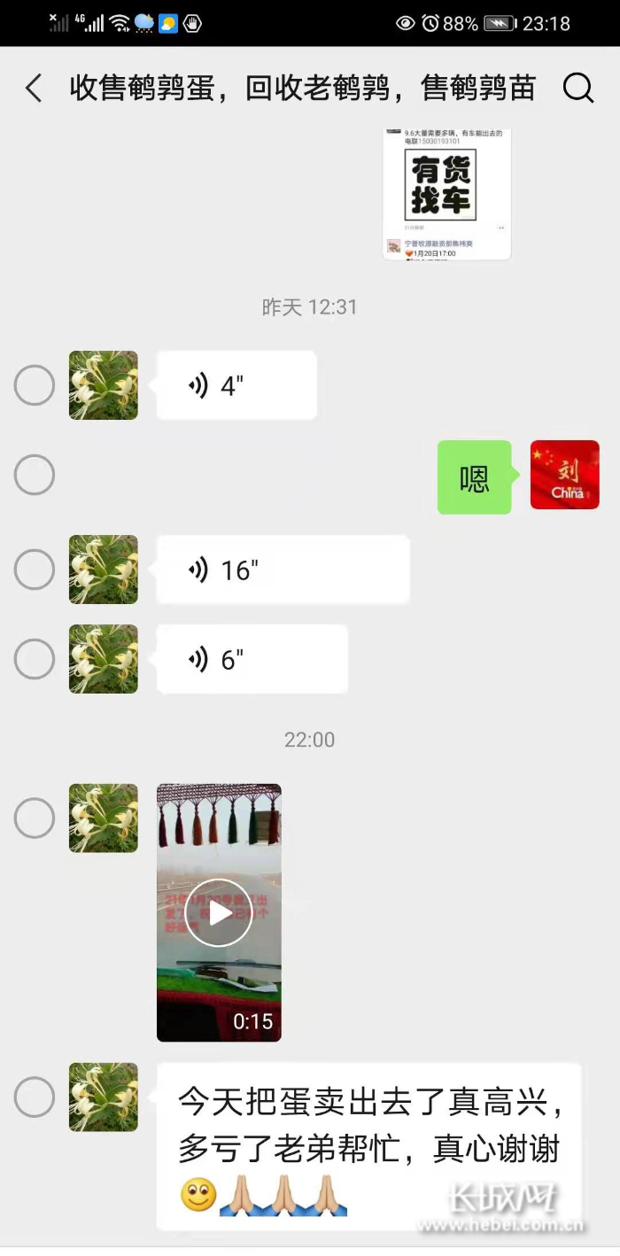 鹌鹑蛋销售出去后，贾兰稳对在鹌鹑销售群中对大家表示感谢。宁晋县农业农村局 供图