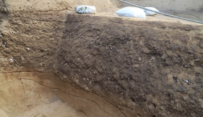 良渚时期的贝壳堆积