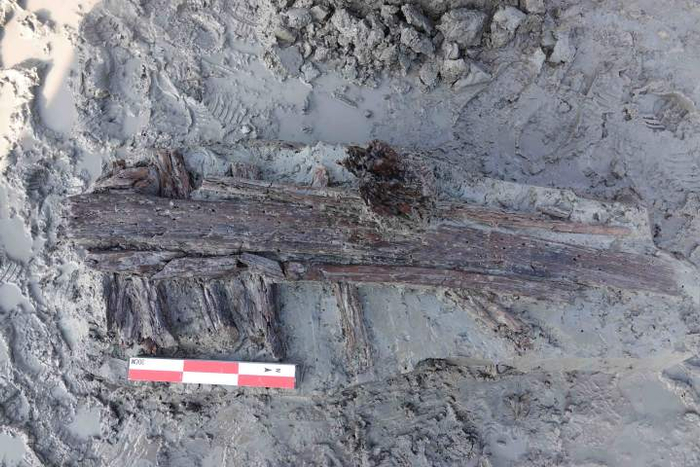 胡坑基遗址ZD141