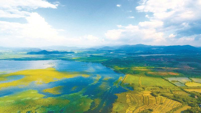 夏季的升金湖别有一番景致 王继明摄