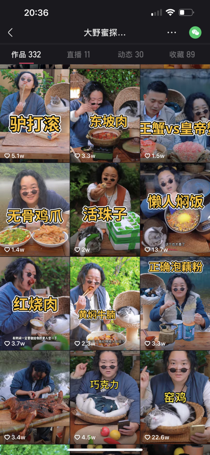 锅锅的一些作品