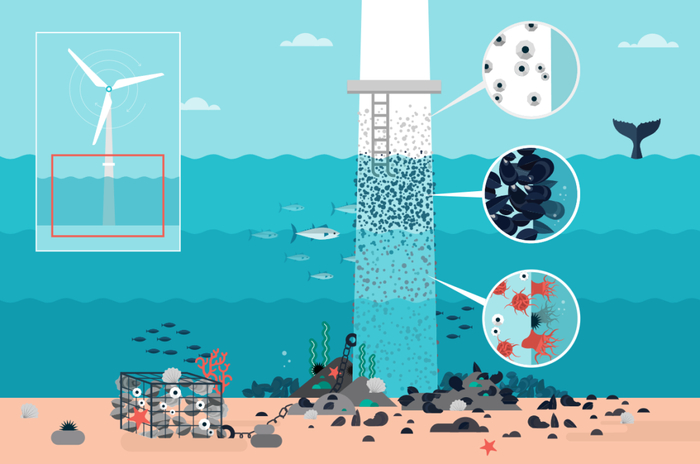 ▲绘图： Ed Harrison / 中外对话