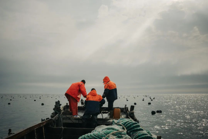 ▲因为海岸带生态治理而无法继续在近岸营生的养殖户，可以到离岸边更远的海域养殖，从而把沿岸的空间腾出来进行生态修复或其它更可持续的开发。图片来源：刘禹扬 / 中外对话