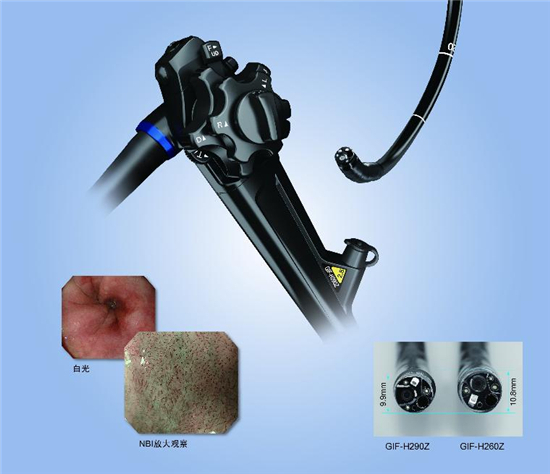 奥林巴斯 GIF-H290Z电子上消化道内窥镜