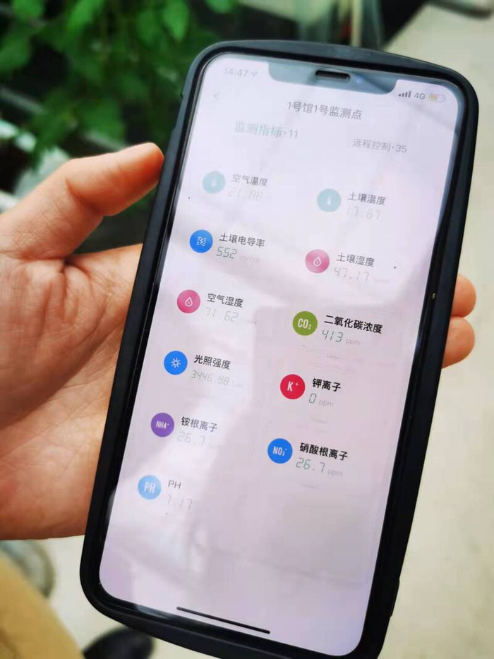插在泥土里的传感器正将土壤酸碱度等数据实时上传。