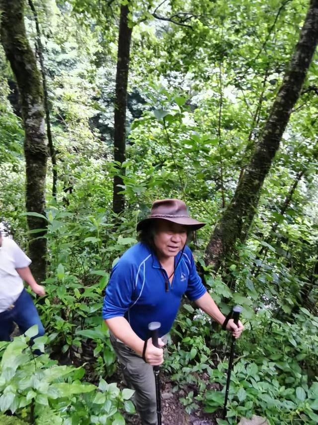 2021年9月，费宣进入哀牢山看古茶树。受访者供图