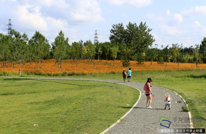 纽约中央公园3倍大的北京副中心城市绿心森林公园，你逛过了吗？方淑媛摄