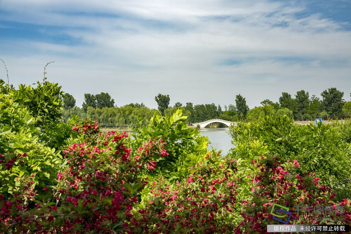 通州大运河两岸有白鹭栖息、小桥流水的天然大氧吧，尤其是大运河森林公园，“一河、两岸、六大景区、十八景点”成为人们休闲放松、户外野营、文化娱乐的理想场所。张妙茵摄