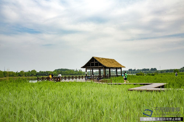 大运河森林公园位于北运河两畔，北起六环路，南至武窑桥，河道全长8.6公里，占地10700亩。张妙茵摄