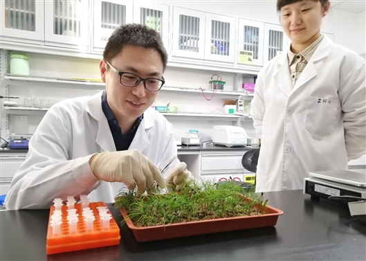 钮世辉（左）与研究生正在做实验 北京林业大学供图