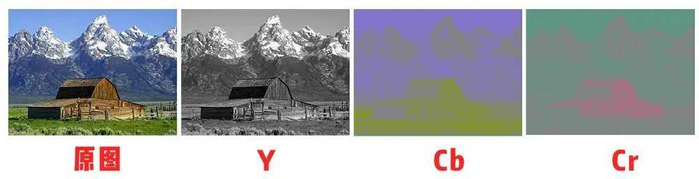 ▲图片来自：维基百科