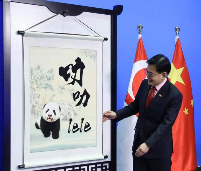 △新加坡副总理王瑞杰揭晓熊猫宝宝名字