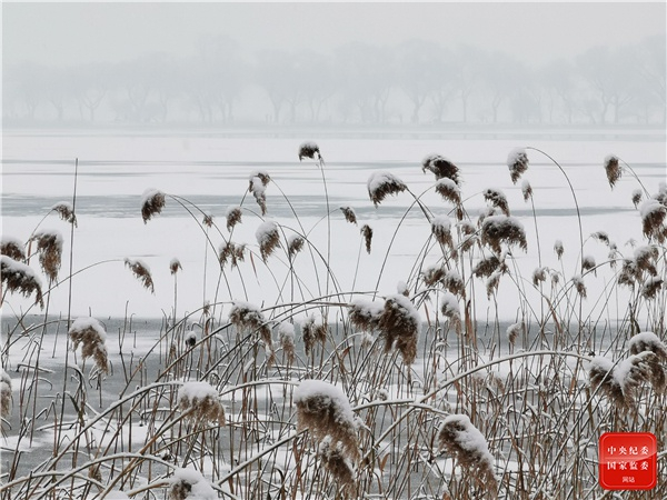 江南江北雪漫漫，遥知易水寒。（重庆市长寿区纪委监委供 危勇 摄）