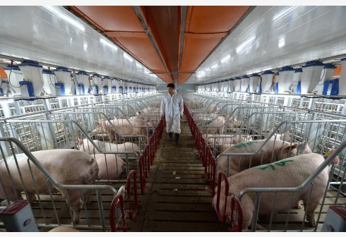 图片来源：新华社