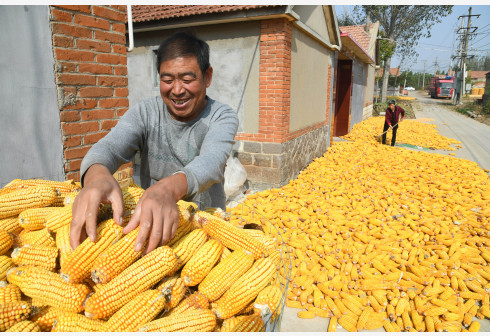 图片来源：新华社