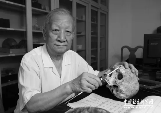 吴新智（资料图）