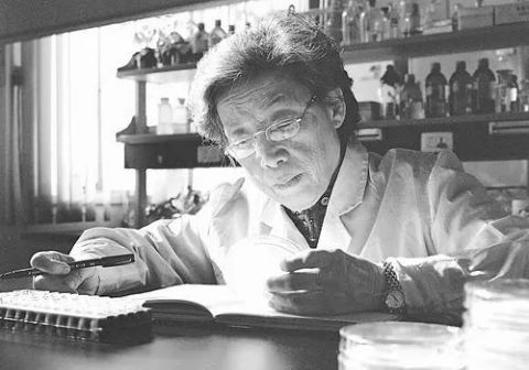 陈文新（资料图）