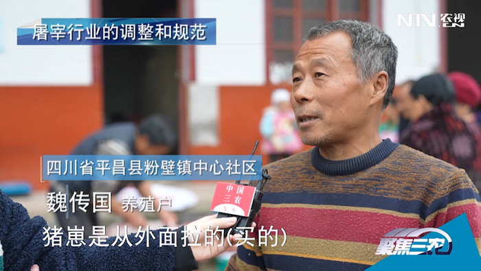 猪崽是从外面买的，经检疫合格，拉回来小猪自己喂。