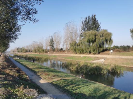 　　（大运河北京段干流水质有了显著提升）