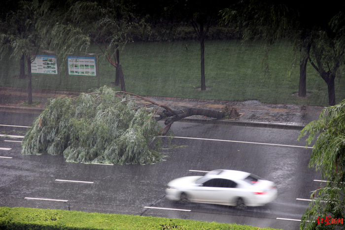 ↑7月20日清晨的郑州，此前暴雨已下了整整一夜。