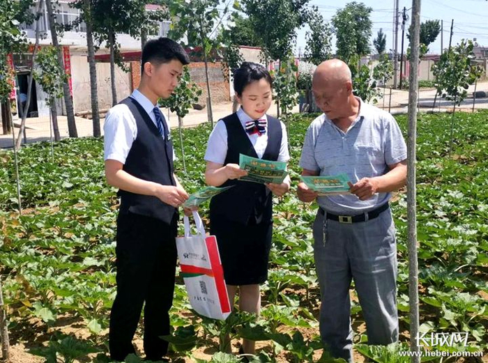 河北农信员工向农户普及金融政策和金融知识。荆志 摄