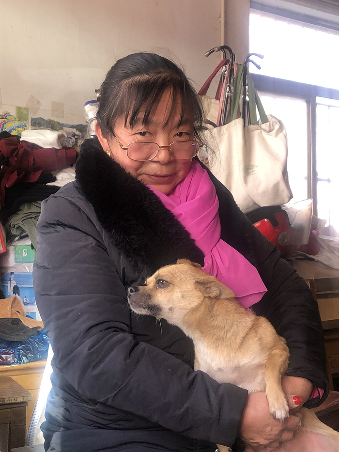 田阿姨和她的吉娃娃犬 &nbsp;实习生 邹佳雯 摄