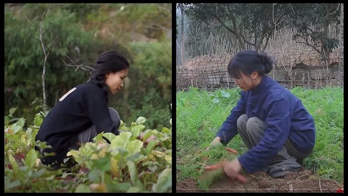 李子柒和她的越南高仿版；图源CGTN