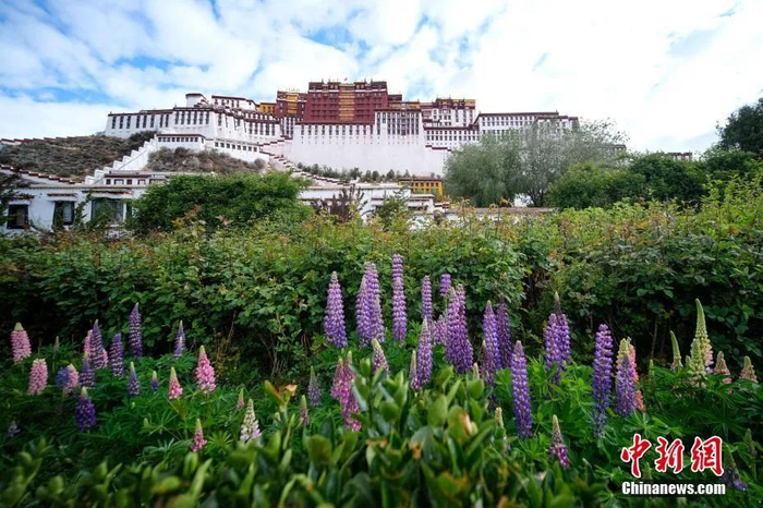 资料图：布达拉宫。中新社记者 何蓬磊 摄