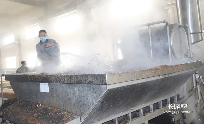 泥坑酒业生产经营工作已全部恢复正常。通讯员 供图